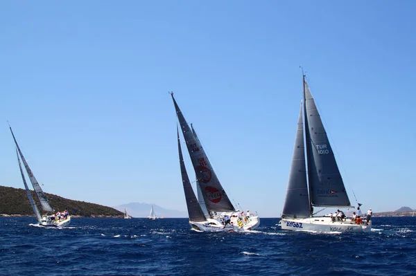 Bodrum Törökország 2016 Augusztus Vitorlás Versenyeket Török Hajózási Szövetség Szervezte — Stock Fotó