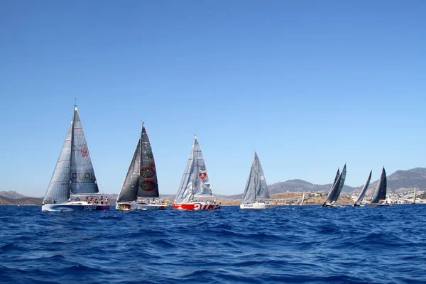 Bodrum Turquie Août 2016 Les Courses Voile Ont Été Réalisées — Photo