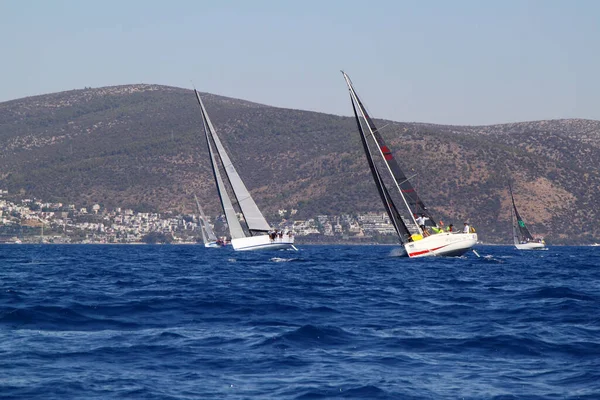 Bodrum Turkiet Augusti 2016 Segling Tävlingarna Har Utförts Organisationen För — Stockfoto