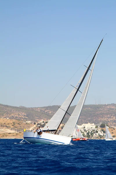 Bodrum Turkey August 2016 Sailing Races Have Been Performed Organization — Stock Photo, Image