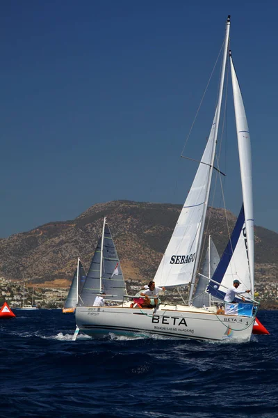 Bodrum Turkey August 2016 Sailing Races Have Been Performed Organization — Stock Photo, Image