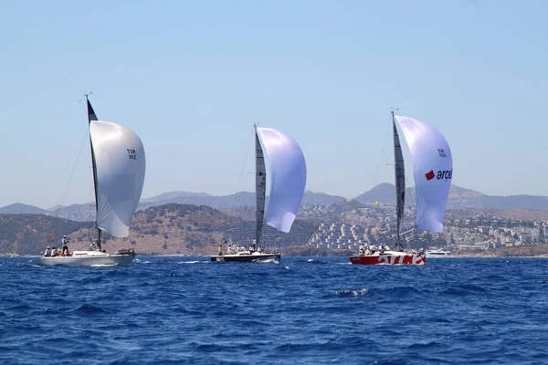 Bodrum Turkey August 2016 Sailing Races Have Been Performed Organization — Stock Photo, Image