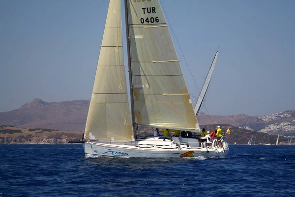 Bodrum Turquie Août 2016 Les Courses Voile Ont Été Réalisées — Photo