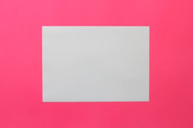 Pembe arka plan üzerine maket kağıt, A4 beyaz kağıt portresi. Broşür dergisi. afiş ürünleri kartvizitlerini kullanın