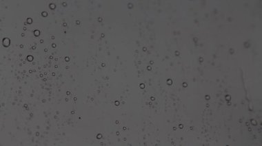 Yakın çekim yağmuru arabanın camına yağar, su bardağa düşer.