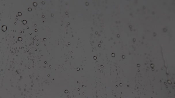 Close Rain Falls Glass Front Car Water Drop Glass — Stock Video