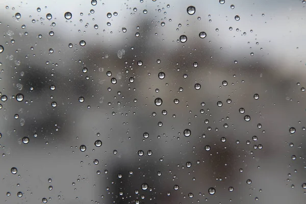 Gotas Lluvia Vaso Tarde Primavera Cierre Una Ventana Con Gotas — Foto de Stock