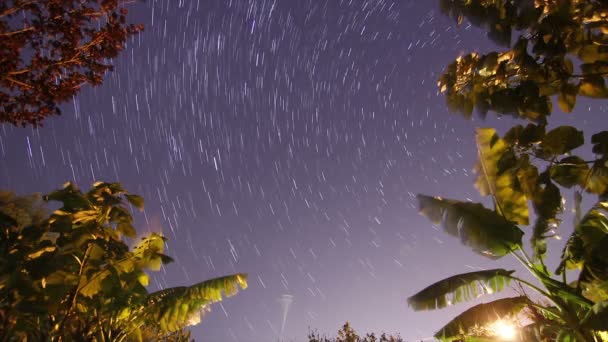 Gece Gökyüzünde Hareket Eden Yıldız Izleri Zamanlaması — Stok video