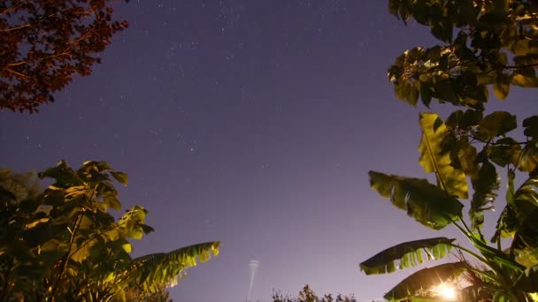 夜空に動く星の軌跡のタイムラプス — ストック動画