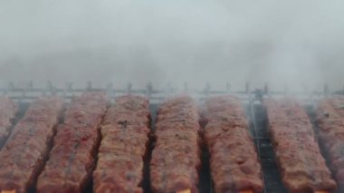 Izgaradaki Türk Kebabı