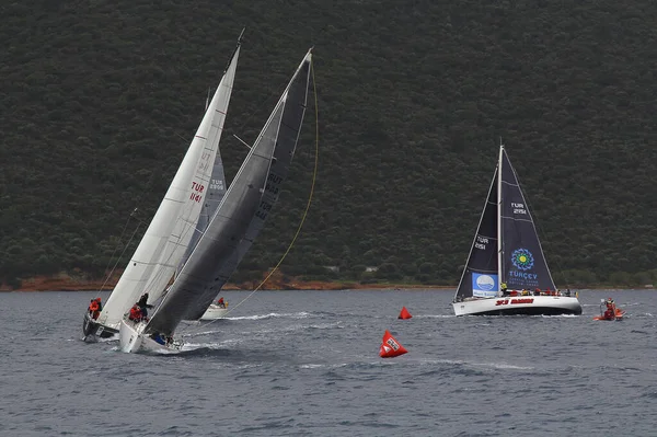 Bodrum Turquía Enero 2018 Veleros Navegan Con Viento Las Aguas — Foto de Stock