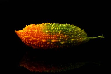 Momordica charantia siyah arka planda izole edilmiş. Momordica Charantia 'nın olgun meyveleri, aynı zamanda acı kavun ya da siyah arka planda acı kabak olarak da bilinir.