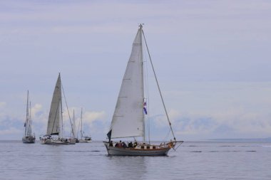 Bodrum, Türkiye, 21 Ekim 2025: Bodrum Yelkenli Kupası, Gulet Tahta Yelkenli ve yelkenli yarışı.