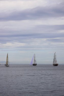 Bodrum, Türkiye, 21 Ekim 2025: Bodrum Yelkenli Kupası, Gulet Tahta Yelkenli ve yelkenli yarışı.