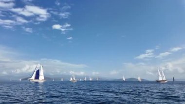 Bodrum Yelkenli Kupası, Gulet Tahta Yelkenli Tekneleri ve yelkenli Yat Yarışları.