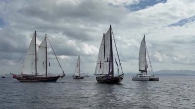 Bodrum, Türkiye, 22 Ekim 2025: Bodrum Yelkenli Kupası, Gulet Tahta Yelkenli ve yelkenli yarışı.