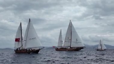Bodrum, Türkiye, 22 Ekim 2025: Bodrum Yelkenli Kupası, Gulet Tahta Yelkenli ve yelkenli yarışı.