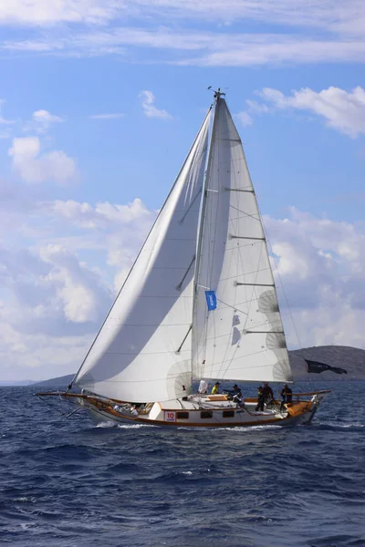 Bodrum, Türkiye, 24 Ekim 2025: Bodrum Yelkenli Kupası, Gulet Tahta Yelkenli ve yelkenli yarışı.