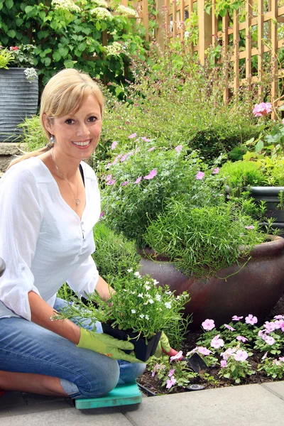 Lady gardener outside in the garden — Stock Photo, Image