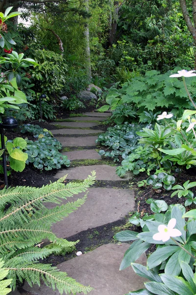 Garden pathway in shade — Stock Photo, Image