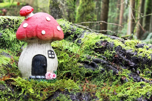 ブリティッシュ コロンビア州 カナダの美しい熱帯雨林の苔むした森の床で自然に風化した小さなおとぎ話のキノコの家 — ストック写真
