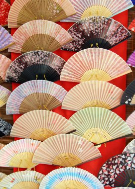 Japon hayranları