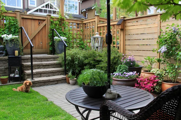 The Best Fence Designs For A Pet-Friendly Backyard The Best Fence Designs for a Pet-Friendly Backyard