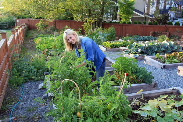 Tuinman werkt in de tuin — Stockfoto