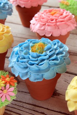 Bahar çiçek cupcakes tencere. 