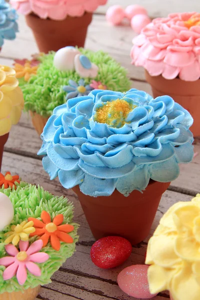 Spring flower cupcakes in pots — Stock Photo, Image