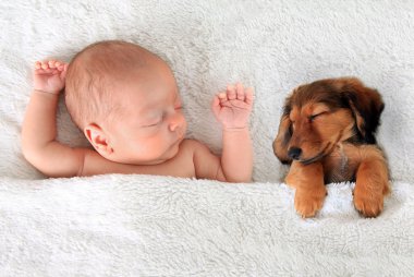 Uyuyan yeni doğan bebek ve köpek yavrusu