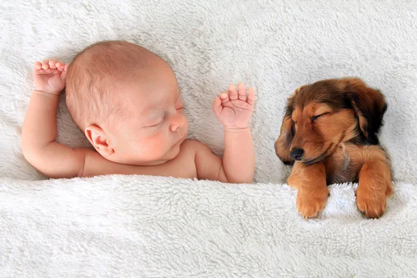 Bebê recém-nascido adormecido e filhote de cachorro — Fotografia de Stock
