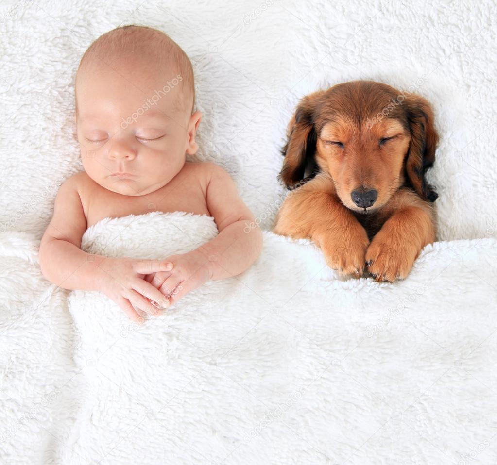 Sleeping newborn baby and puppy