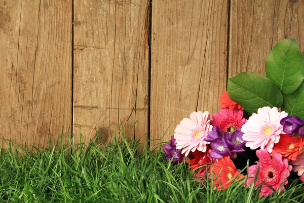 Blommor framför ett staket — Stockfoto