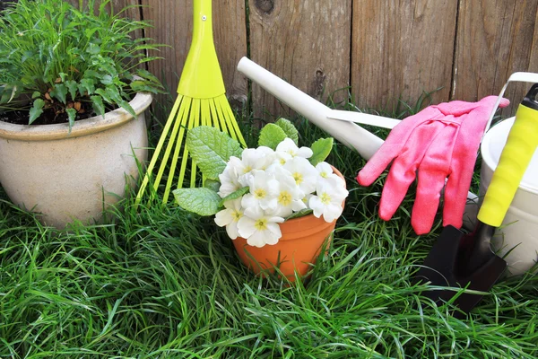 Herramientas de jardinería de primavera —  Fotos de Stock