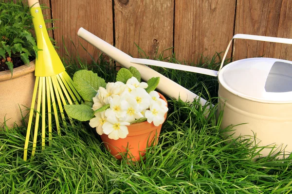 Herramientas de jardinería de primavera — Foto de Stock