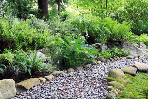 Woodland shade garden path — Stock Photo, Image