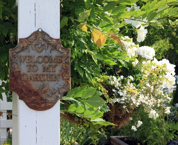 Welkom in mijn tuin — Stockfoto