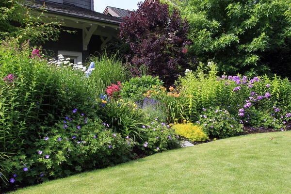 Blumenbeet im Sommer. — Stockfoto