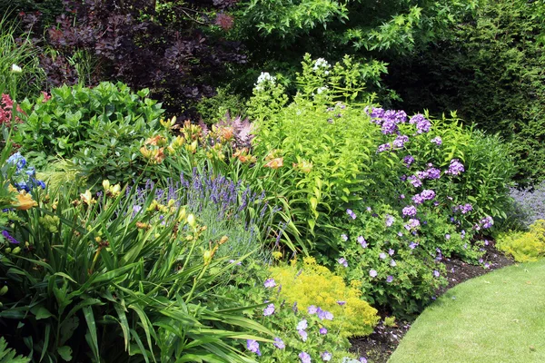 Flower bed in summer. — Stock Photo, Image