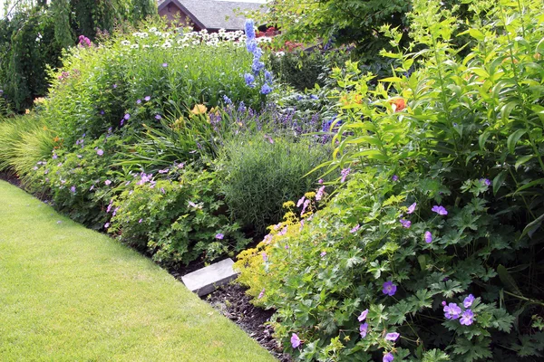 Flower bed in summer. — Stock Image Flower bed in summer. Stock Photo