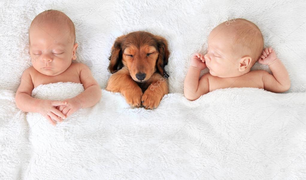 Newborn baby and puppy — Stock Photo © Hannamariah 81088536