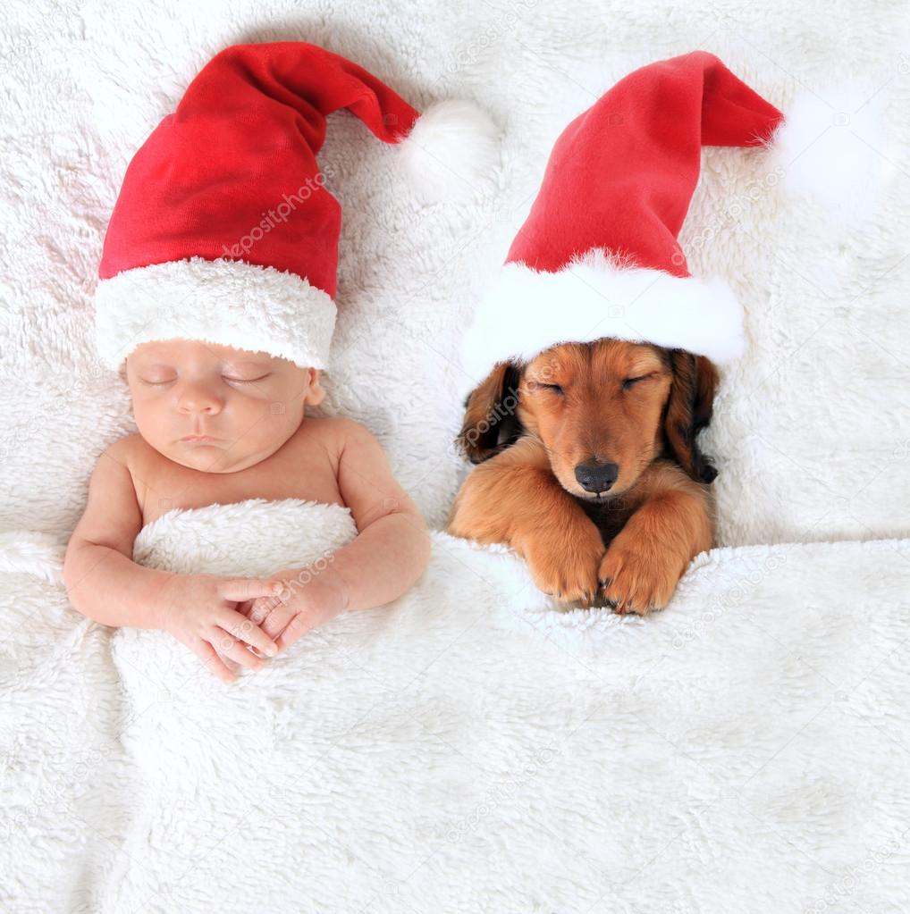 Christmas baby and Santa puppy