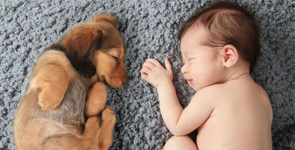 Bebé recién nacido y cachorro —  Fotos de Stock