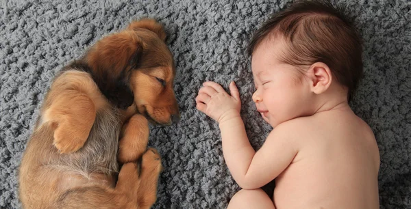 Newborn baby and puppy — Stock Photo, Image