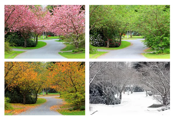 Four seasons on the same street. — Stock Photo, Image