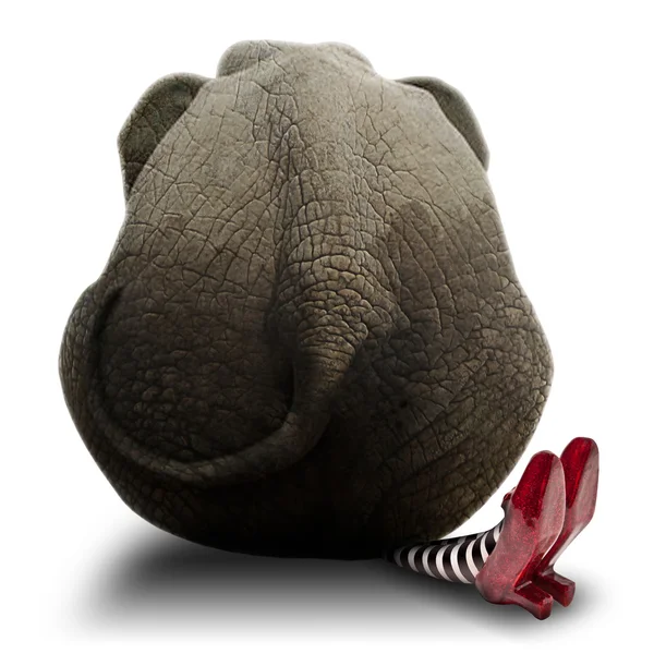 Slon sedící na branku Witch — Stock fotografie