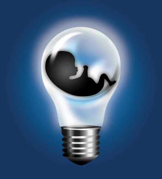 Enlightened Embryo — Stock Photo, Image
