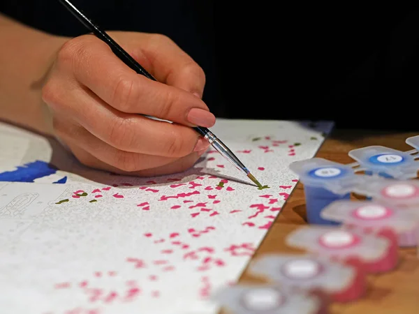 Kadınların el resimleri fırçayla bir resmi numaralarla boyar. Yeni başlayanlar için kolay bir resim.