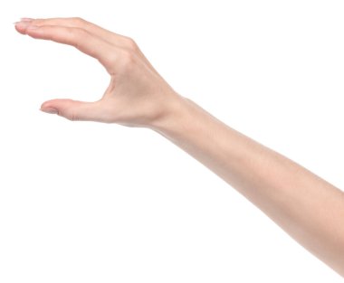Beyaz kadın elleri, farklı jestler gösteren beyaz bir arka plan izole etti. Kadın elleri bir şey tutar ya da alır, verir, puan verir.